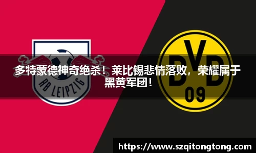 多特蒙德神奇绝杀!莱比锡悲情落败,荣耀属于黑黄军团!